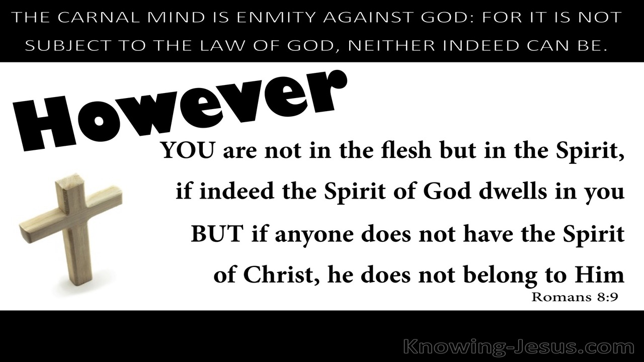 Romans 8:9 Not In The Flesh But In The Spirit (white)